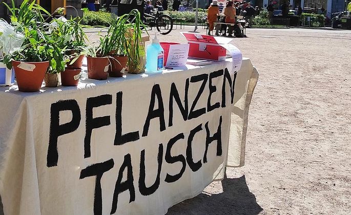 wildpflanzenmischung saatgut Wildpflanzenmischung für Hummeln – Wildbienenshop