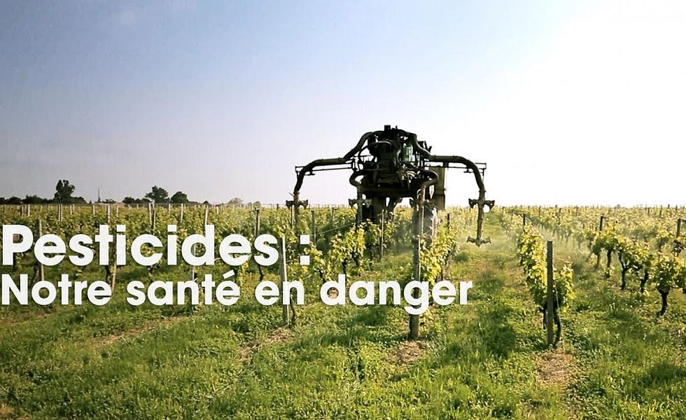 Cash Impact - Pesticides : notre santé en danger (Intégrale)