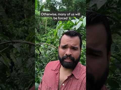 Urgent appeal to Nestlé: coffee producers demand fair pay