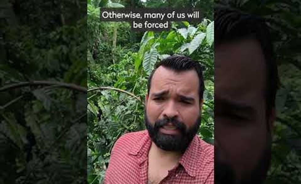 Urgent appeal to Nestlé: coffee producers demand fair pay