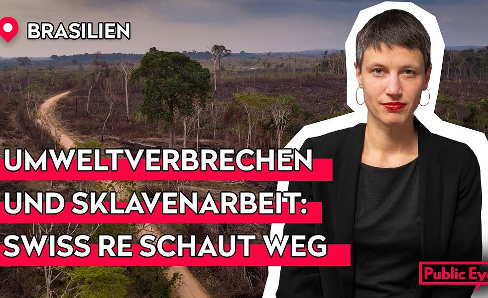 Schweizer Versicherung gibt sich grün, versicherte aber abgeholzten Regenwald