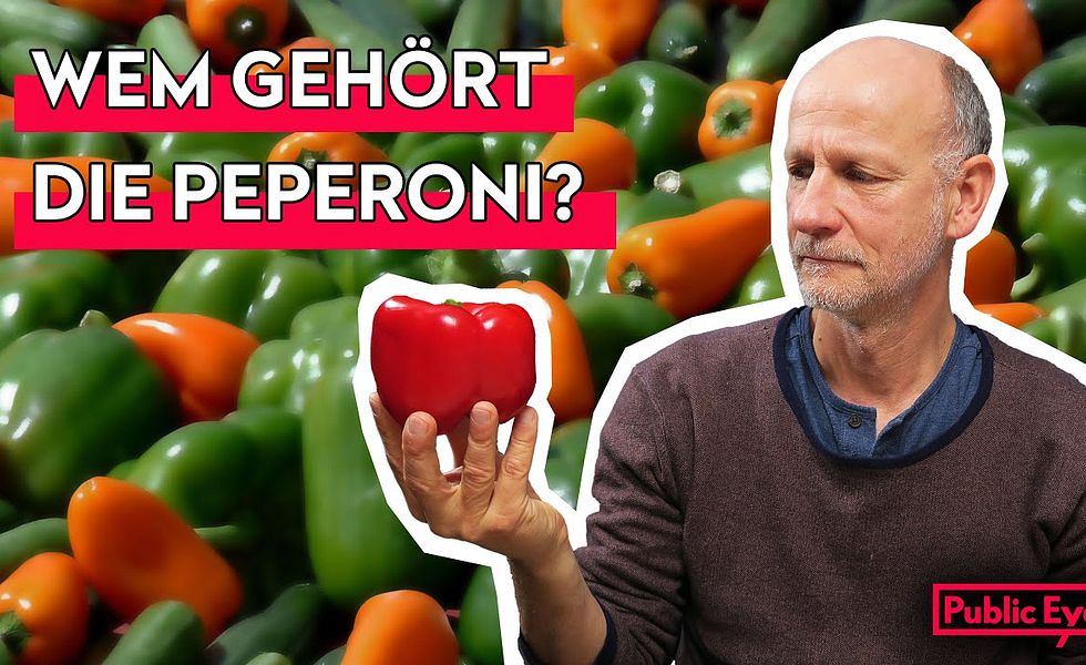 Wie Syngenta eine wilde Peperoni patentieren konnte | Wir müssen reden. Public Eye spricht Klartext