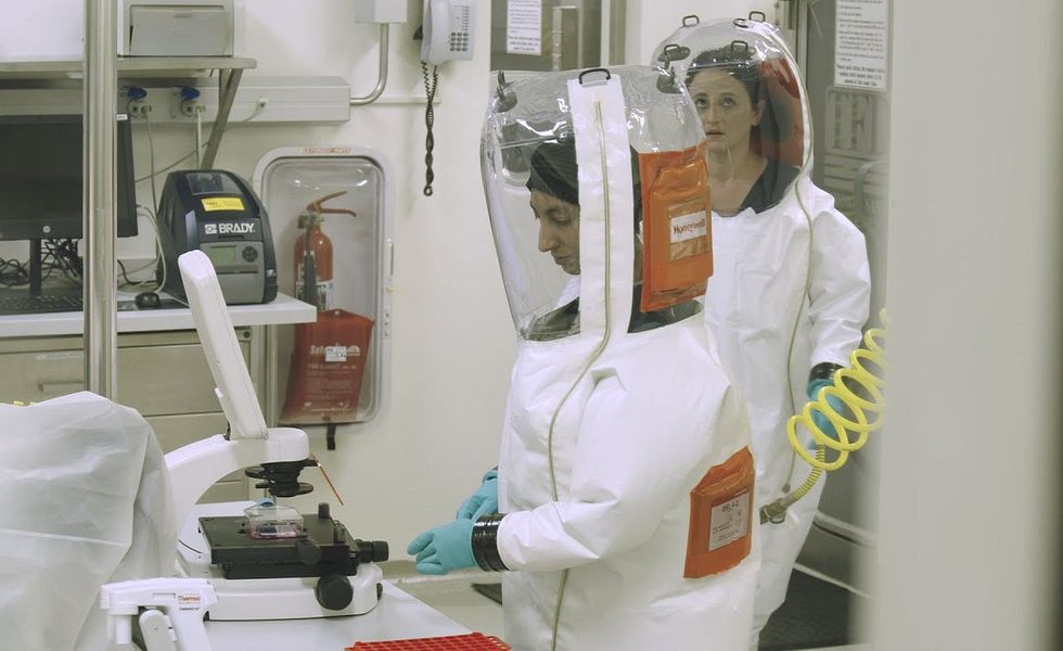 Time of pandemics • Trailer