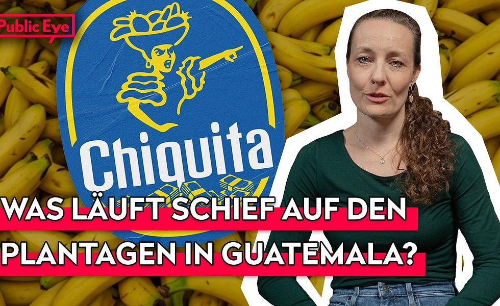 Wer zahlt den Preis für billige Bananen?