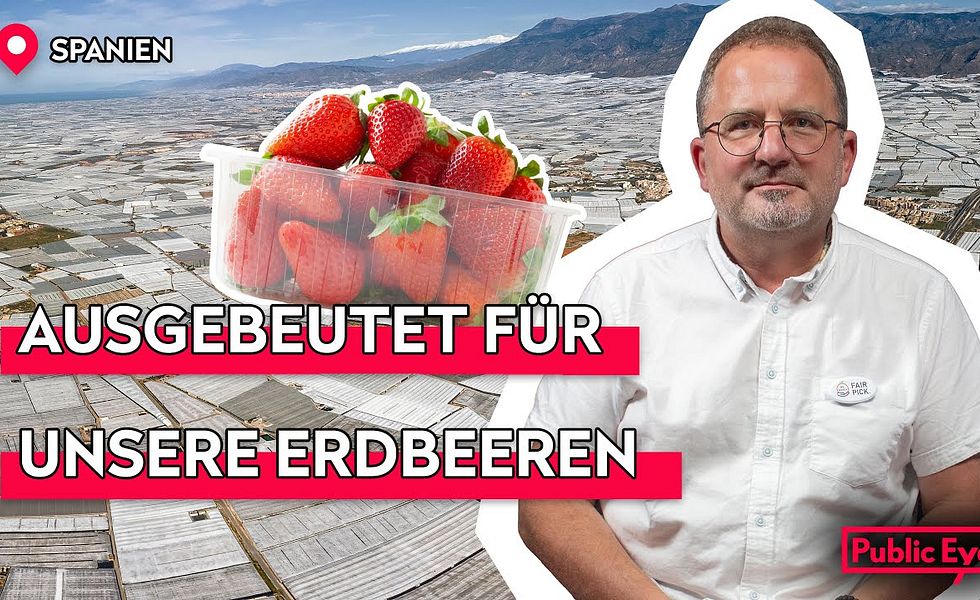 Orangen, Oliven, Erdbeeren: Wie Europas Landwirtschaft Menschen ausbeutet #Podcast