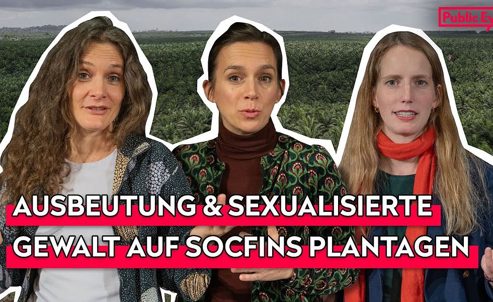 Der Fall Socfin: Koloniale Vergangenheit, Landkonflikte, sexualisierte Gewalt | LIVE PODCAST